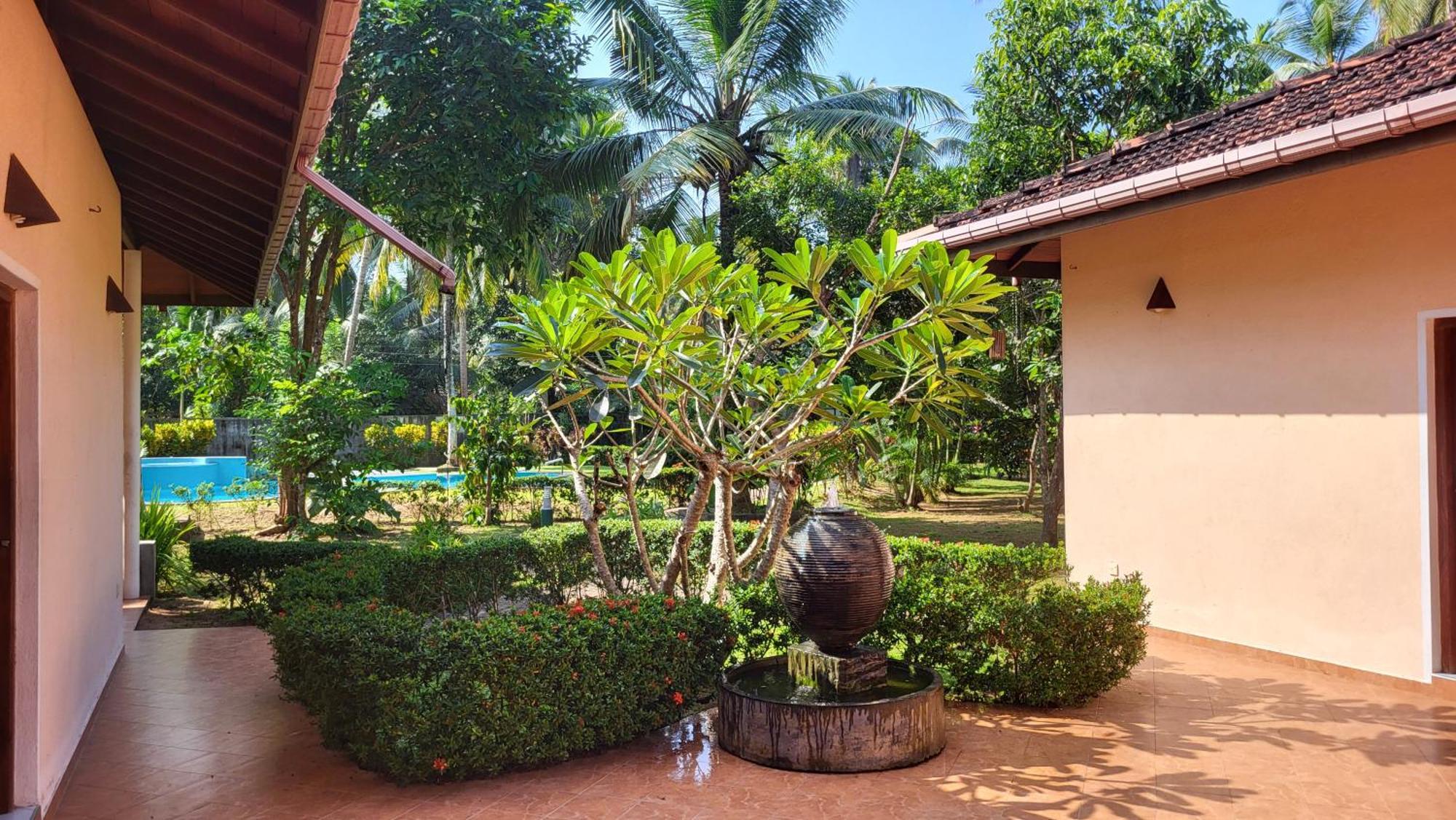 King Coconut Lodge Habaraduwa Exterior photo